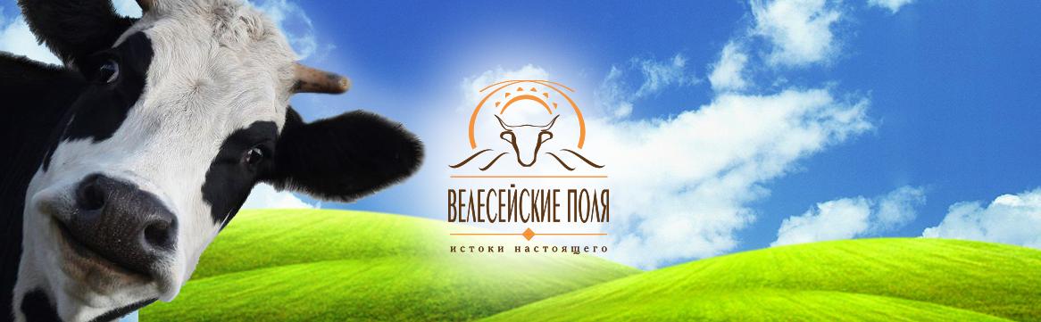 Разработка логотипа для компании Велесейские поля Логотип Велесейские поля